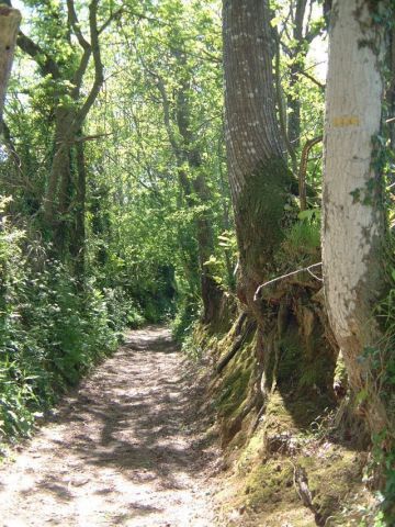 Promenade en fort  Clohars carnoet en bretagne